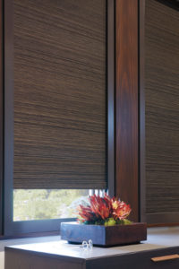 types of window shades durham chapel hill raleigh cannes