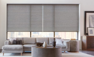 types of window shades durham chapel hill raleigh maya