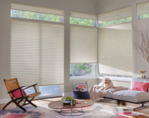 types of window shades durham chapel hill raleigh textura